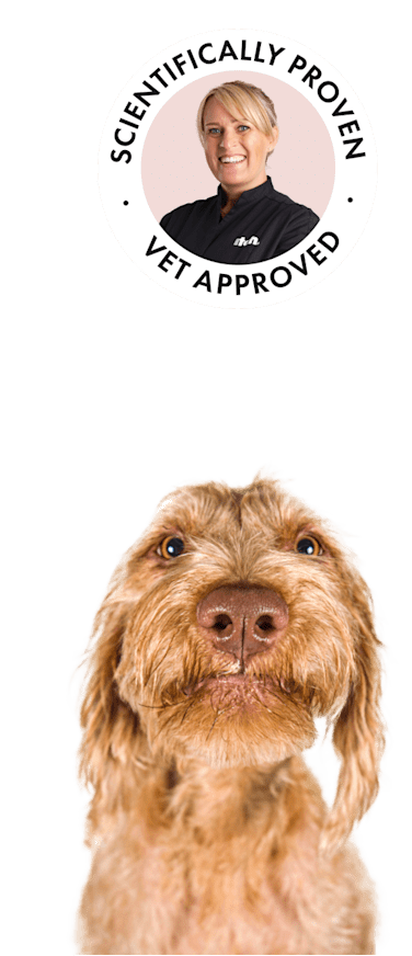 Itch petcare deals