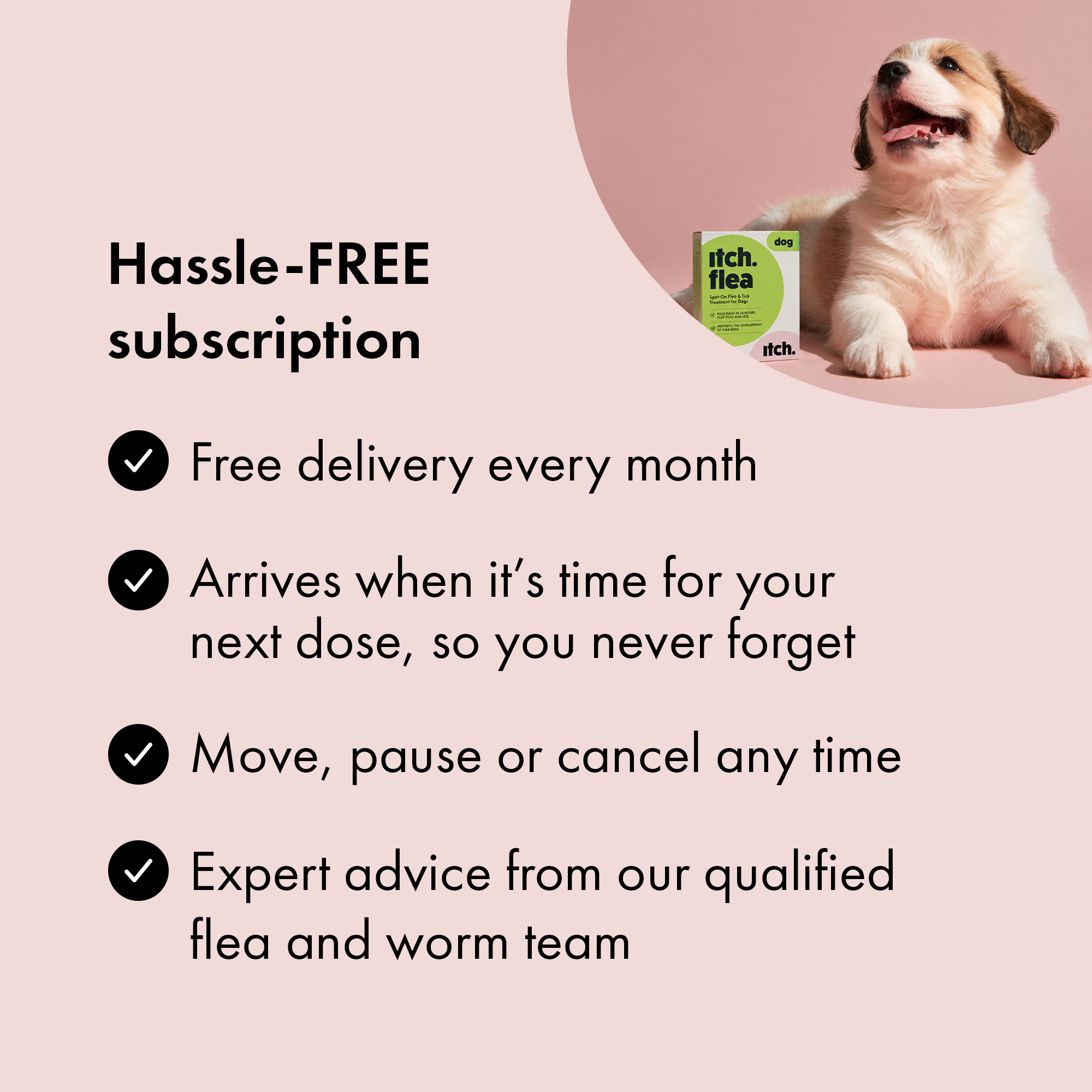 Itch Flea Treatment for Dogs & Puppies subscription benefits. 