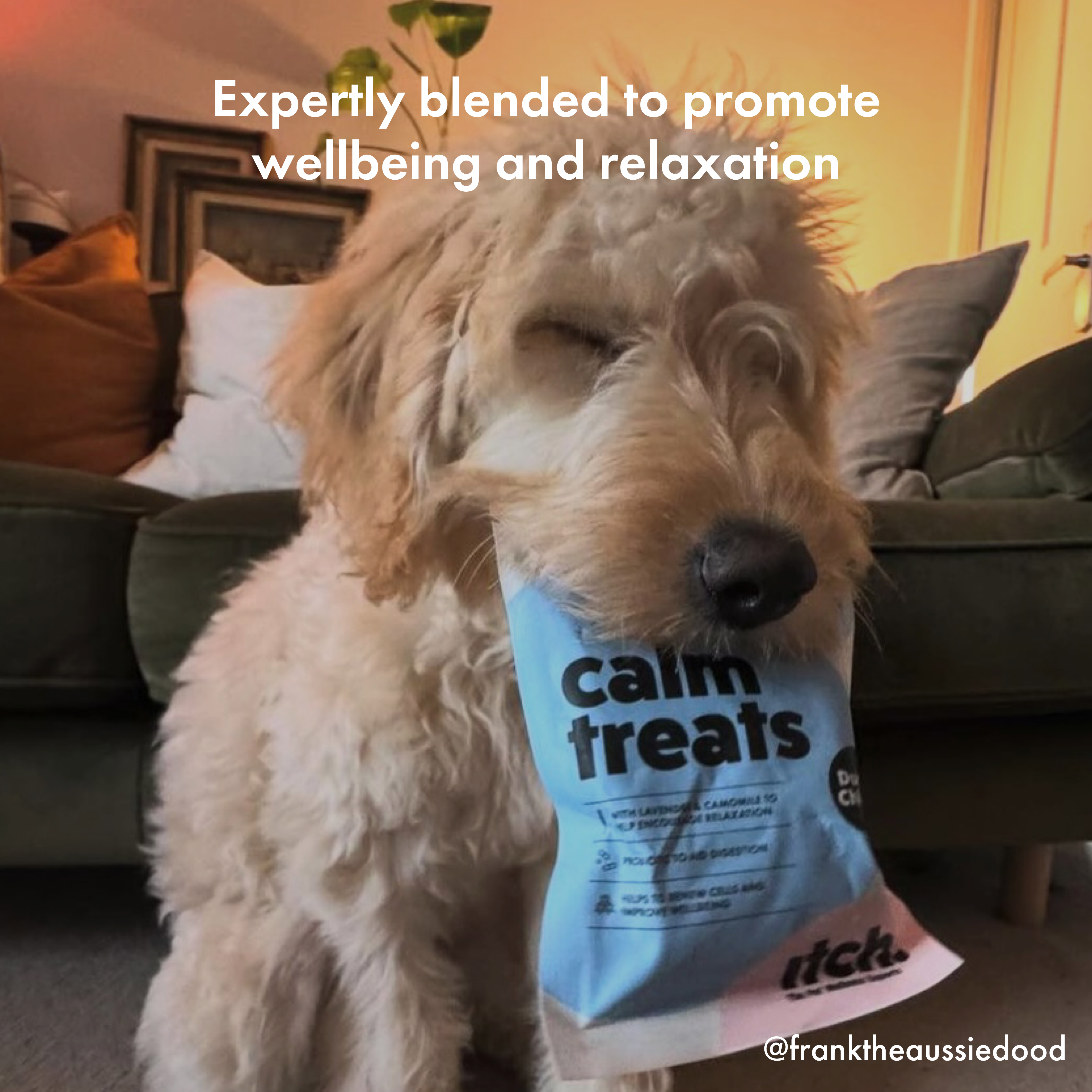 Itch Calm Treats for Dogs, dog biting treat packet