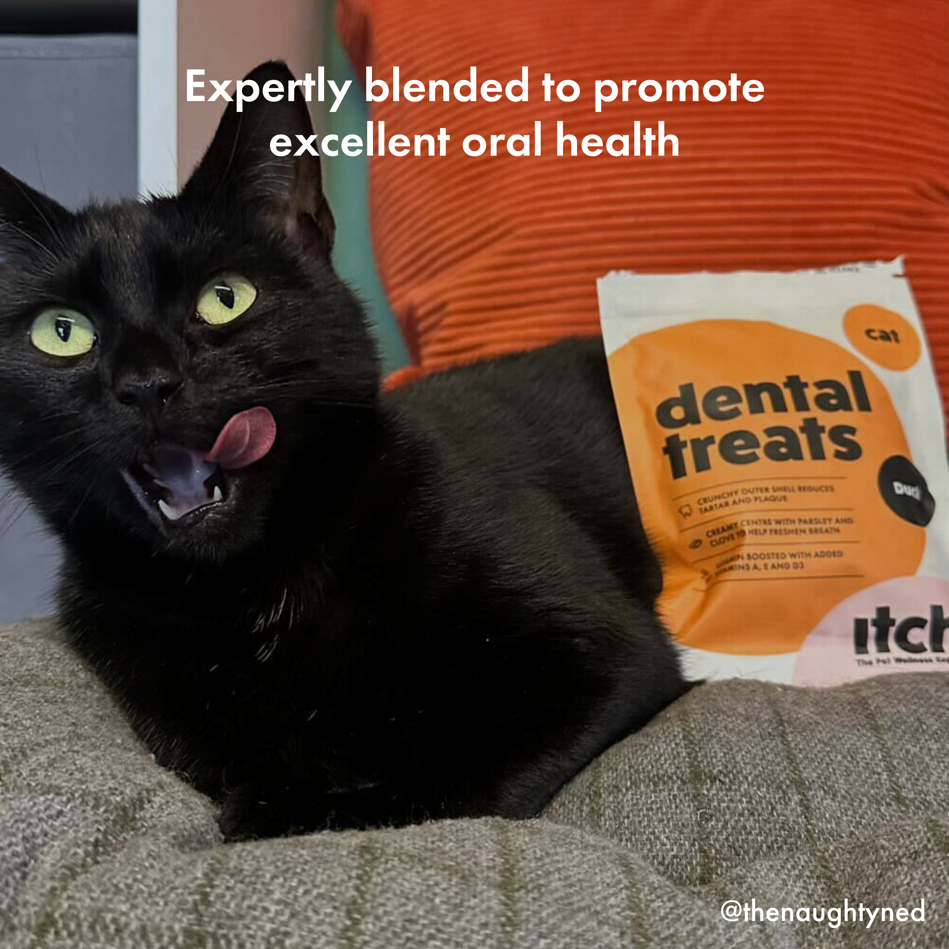 Itch Dental Treats for Cats, cat licking treat from hand