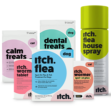 Itch Flea & Worming Treatments plan can be tailored to pet's needs - Build a bespoke plan