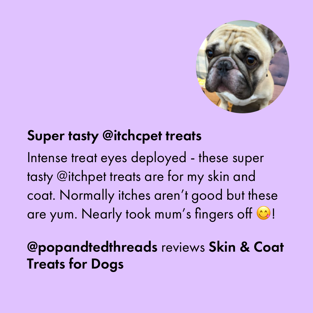 Itch Skin and Coat Treats for Dogs, customer review
