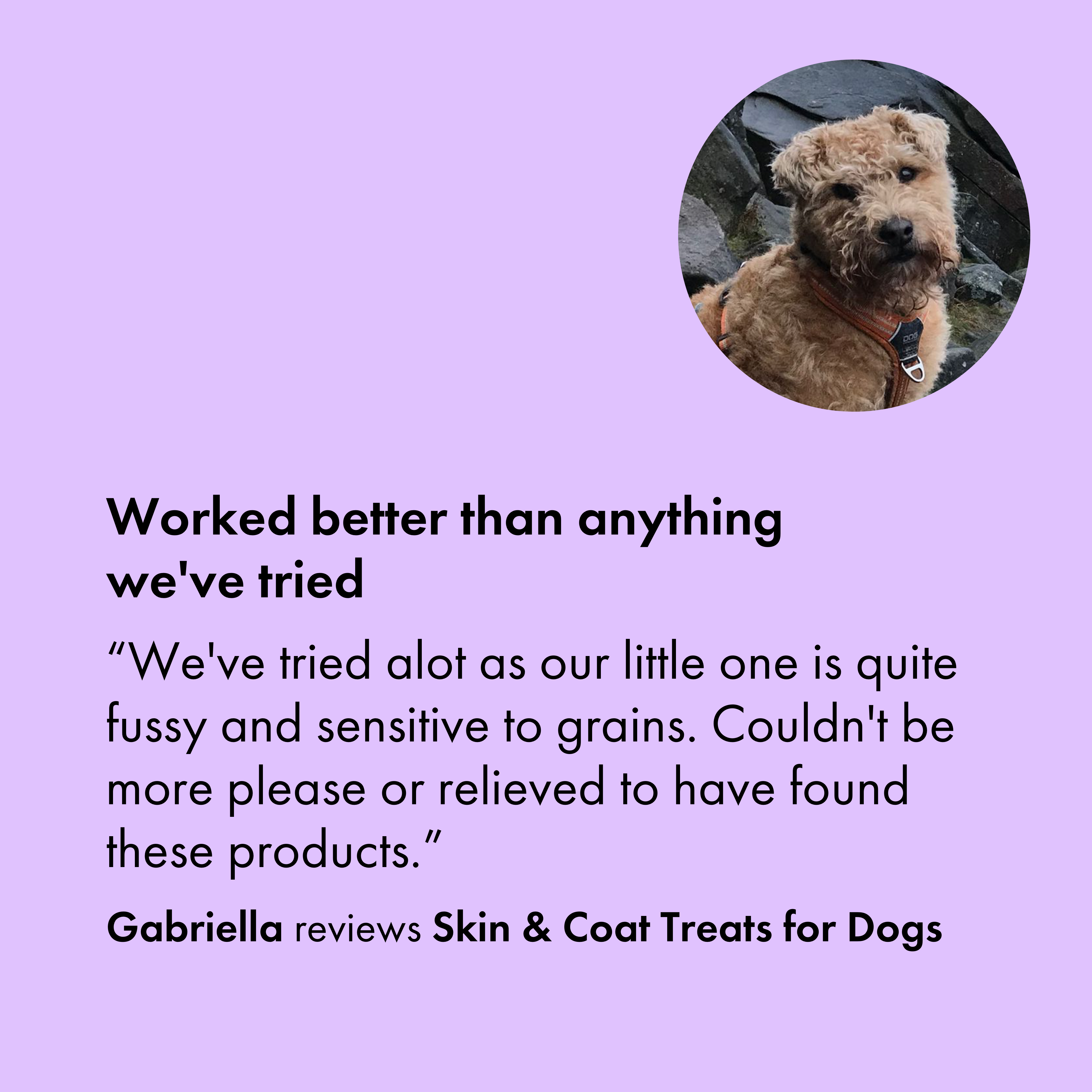 Itch Skin and Coat Treats for Dogs, customer review