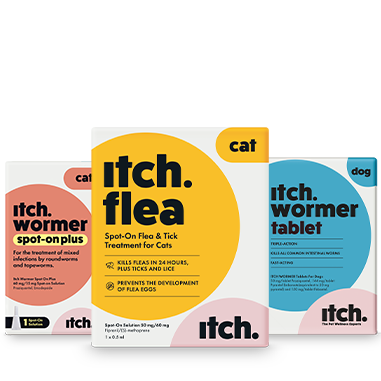 Itch Flea and Worming treatments for cats and dogs