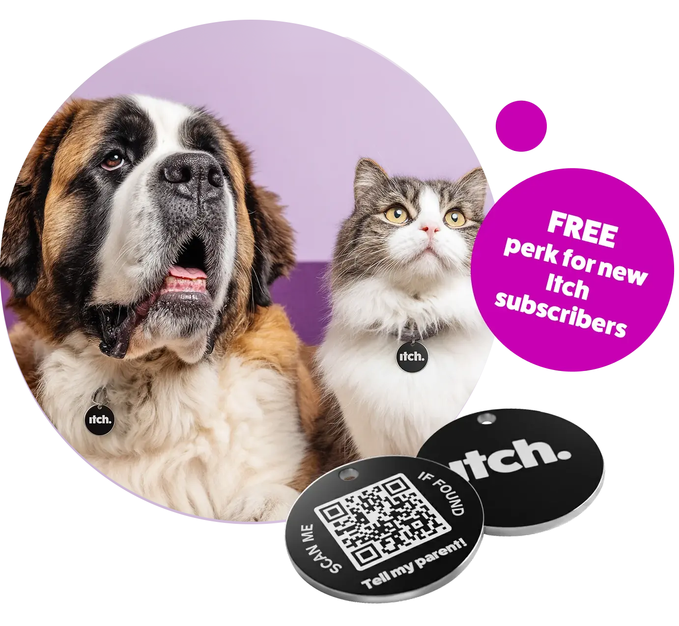 Itch Flea Tag - smart lost pet ID tag