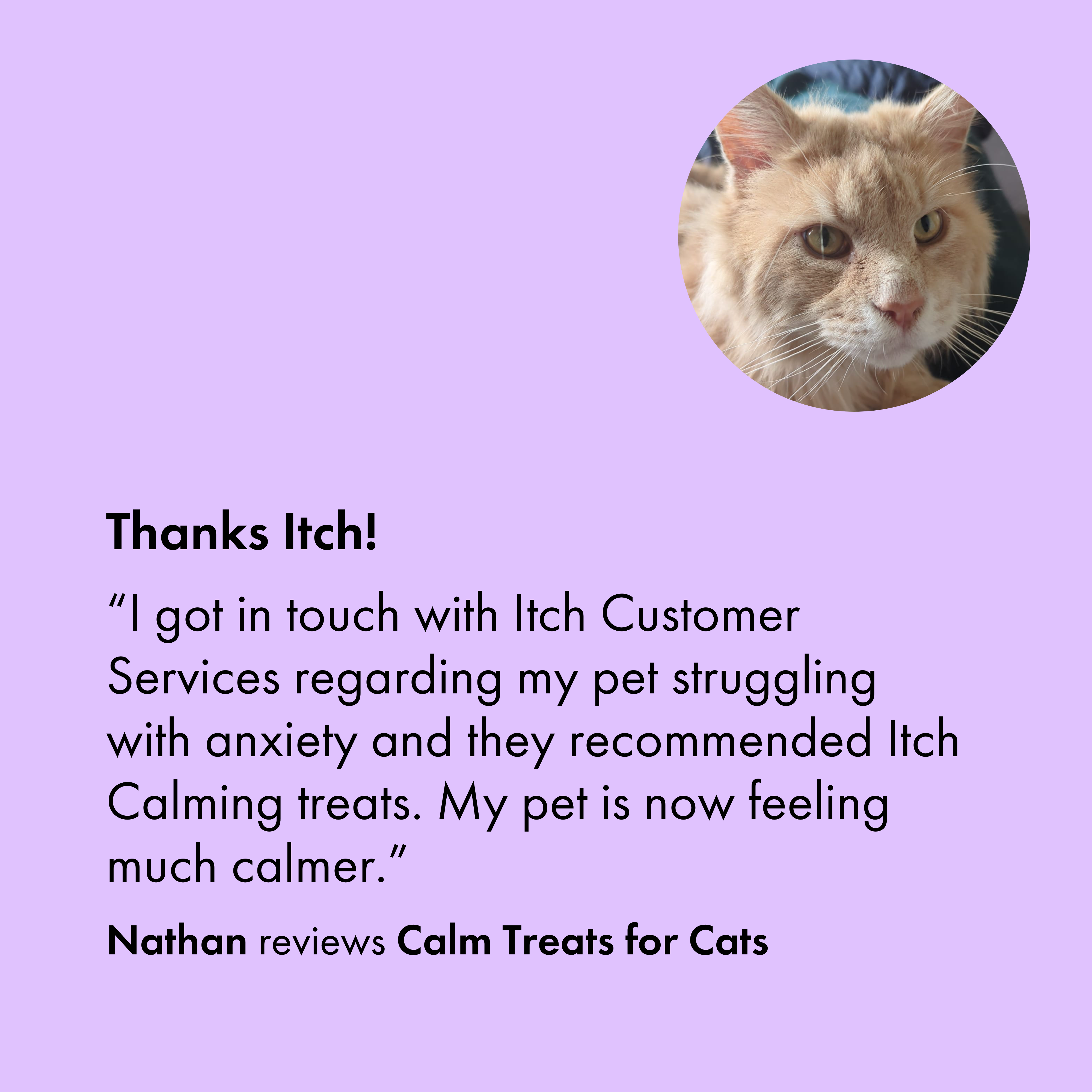 Itch Calm Treats for Cats, customer review