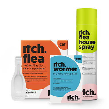 Pack shots of Itch Flea Treatment for Cats, Itch Wormer Tablets for Dogs and Itch Flea House Spray
