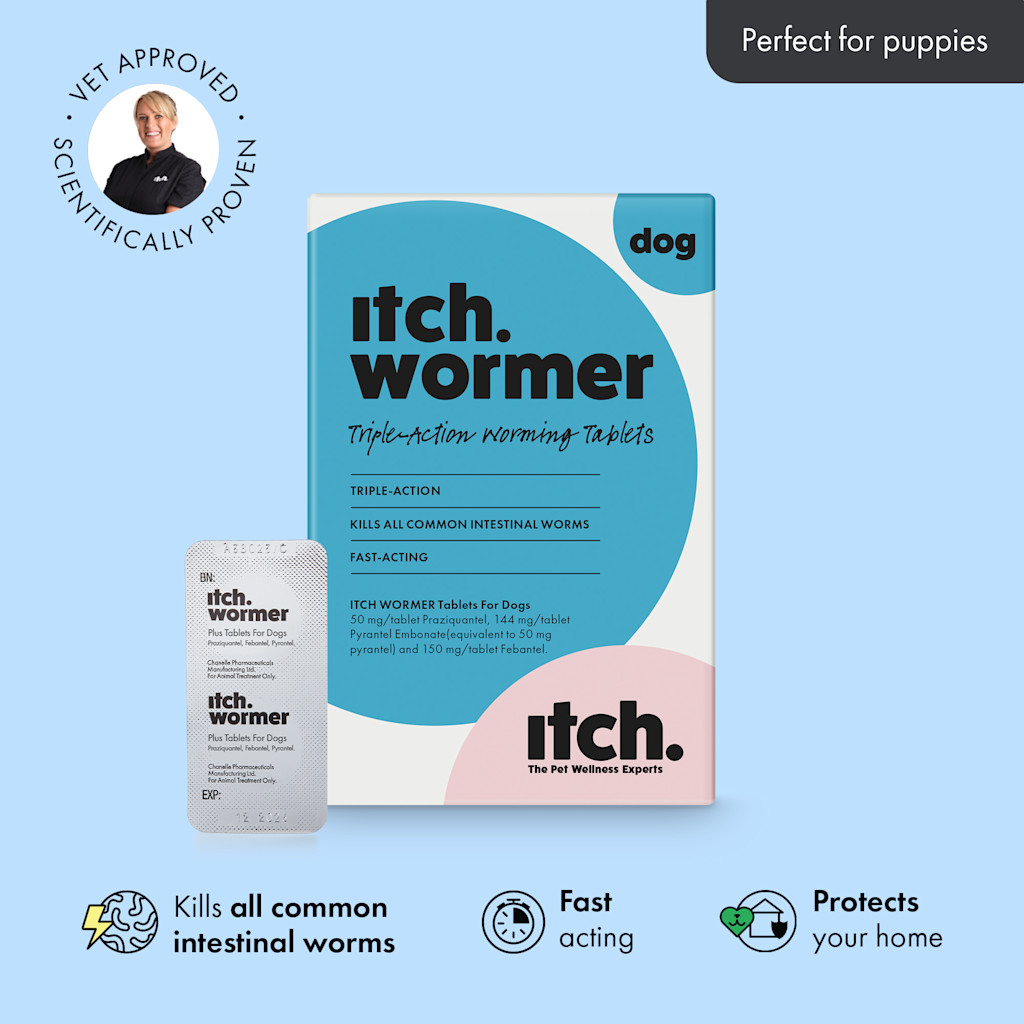 Photo inspiration: Fresh Look at Worming Tablets Worm Treatment For Puppies
