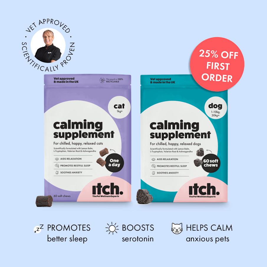 Calming supplements for sales dogs
