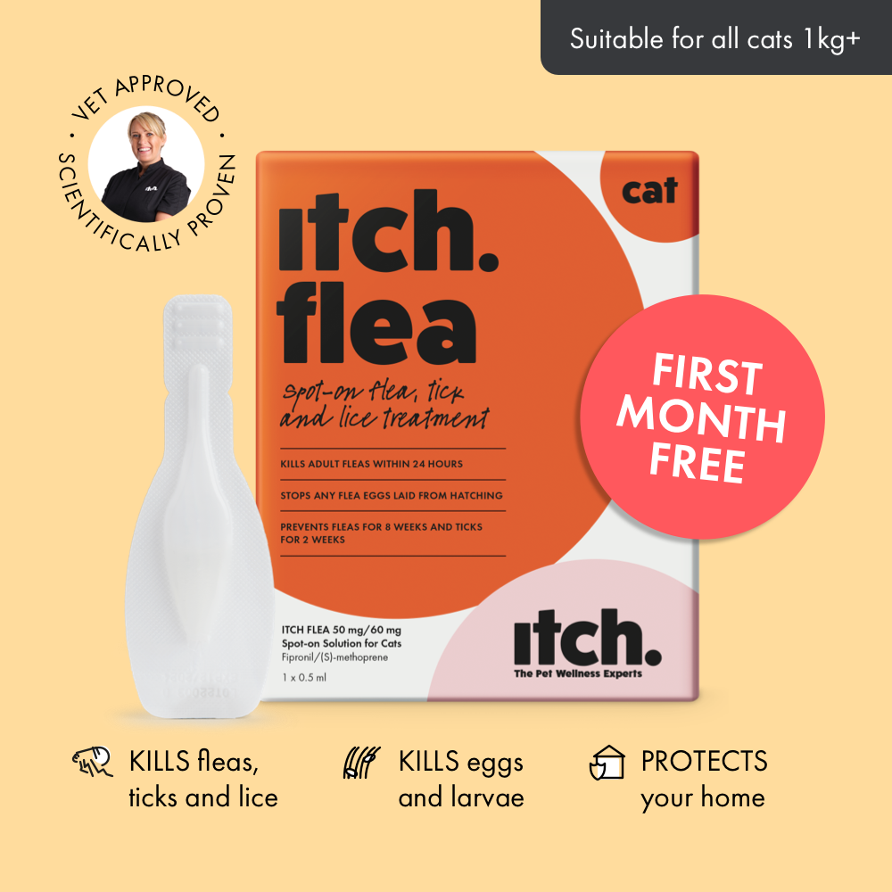 Picture of Flea Treatment for Cats | Kills Fleas, Eggs and Ticks | Itch