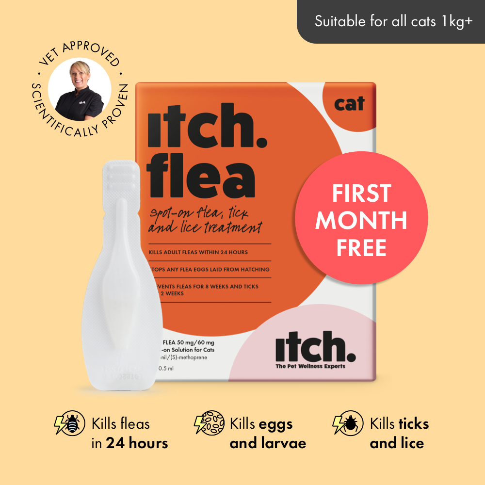 Photo inspiration: Picture Idea: Flea Treatment For Cats Kills Fleas Eggs And Ticks