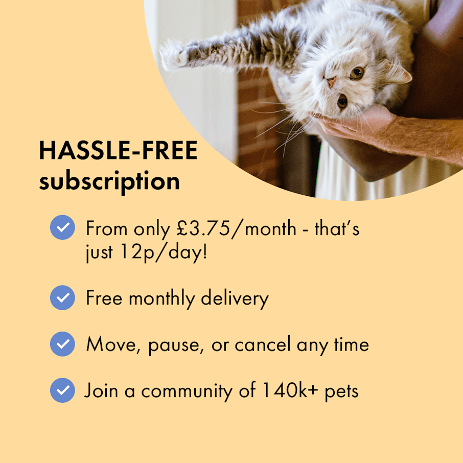 Calming Treats for Cats Vet Approved Itch