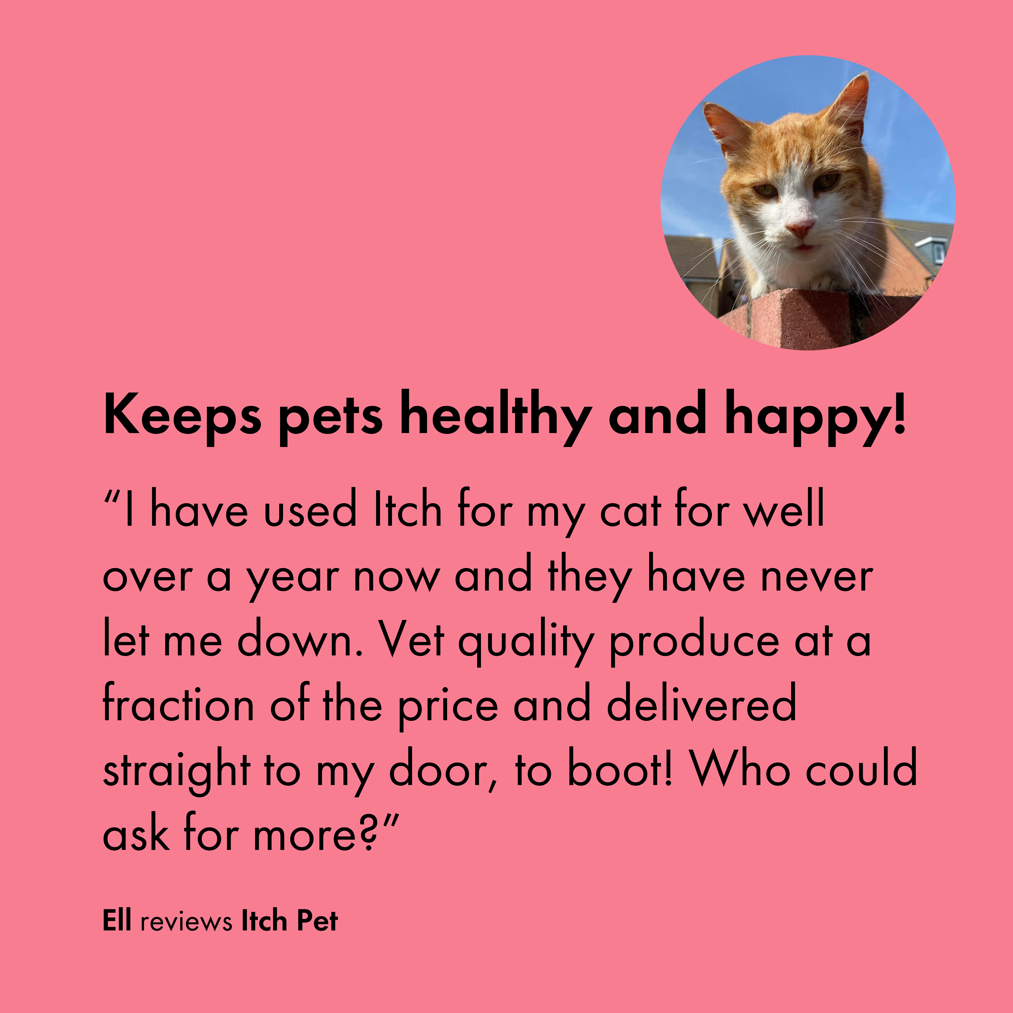 Customer review for Itch Worming tablets for cats