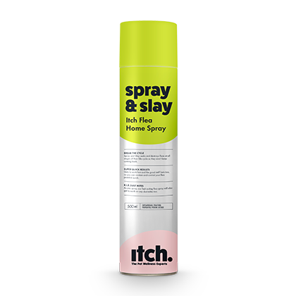 Why Choose Us Flea & Worm Treatments Itch