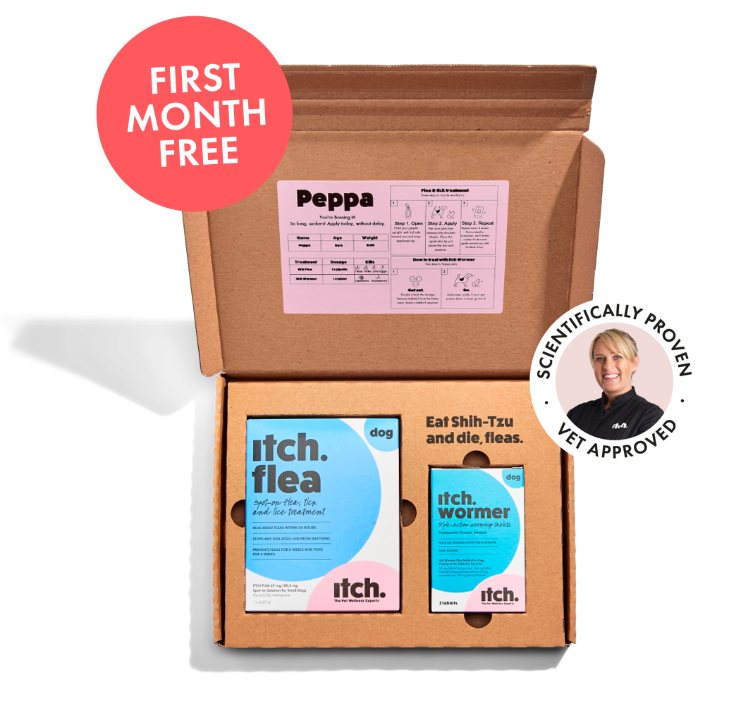 Itch flea and worm treatment subscriptions for cats and dogs delivered for free