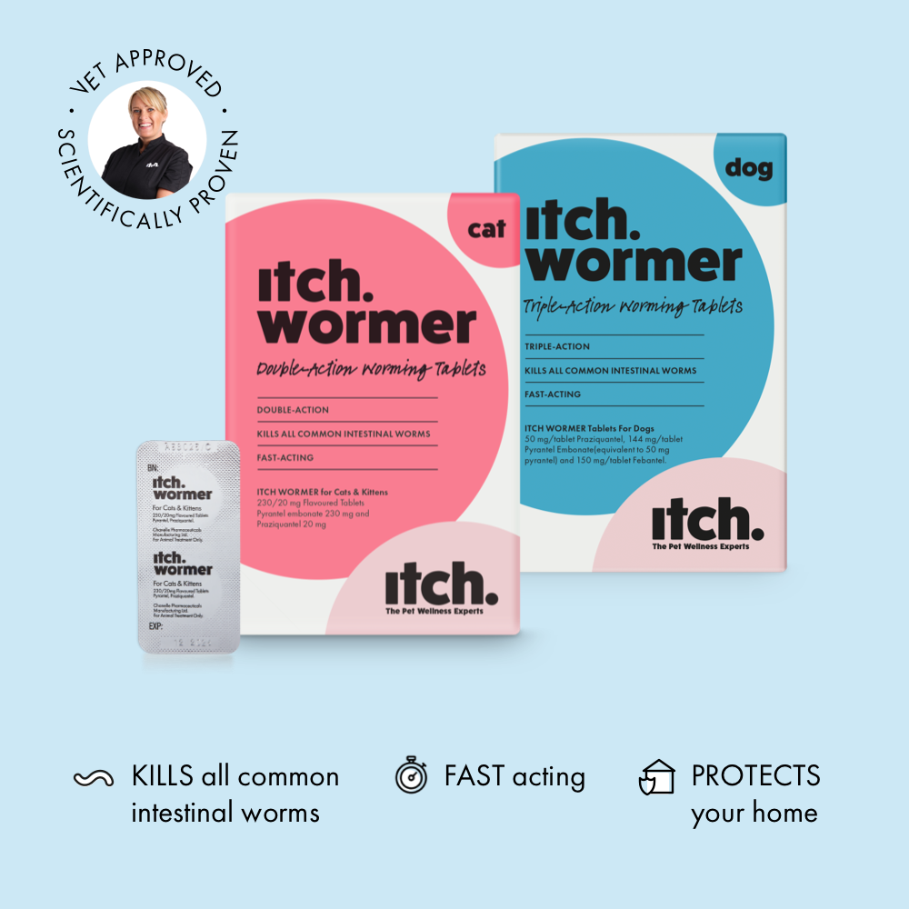 Worm Treatment Monthly Flea Subscriptions for Pets Itch