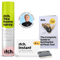 Flea Eradication Kit Get Rid of Fleas Kit For Cats
