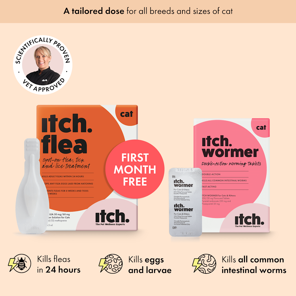 Flea & Wormer Treatment | Subscription for Cats | Itch