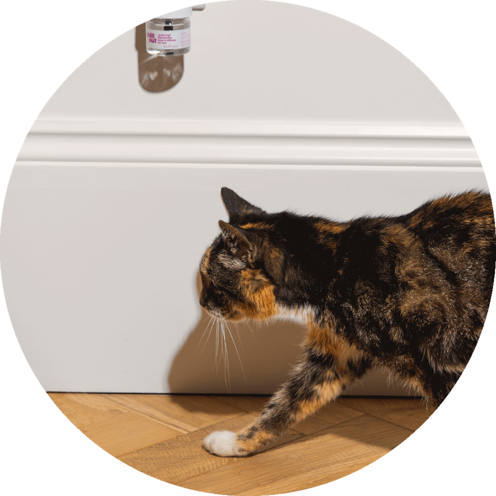 Plug In Cat Calming Pheromone Diffuser Vet Approved Itch