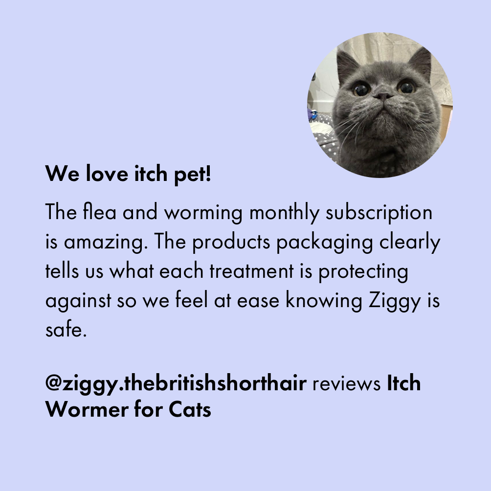 Flea & Wormer Treatment | Subscription for Cats | Itch - Cat Itch Relief From Fleas