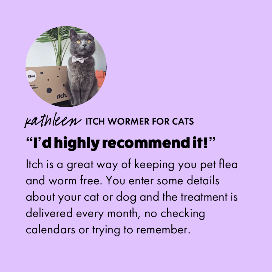 Flea & Wormer Treatment Subscription for Cats & Dogs Itch