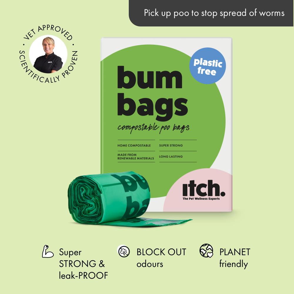 Itch Bum Bags, Plastic Free Compostable poo bags for Dogs - image of box with bags