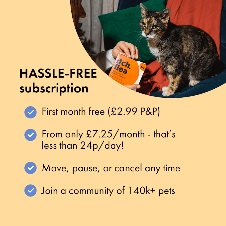 Flea Treatment for Cats Kills Fleas Eggs and Ticks Itch