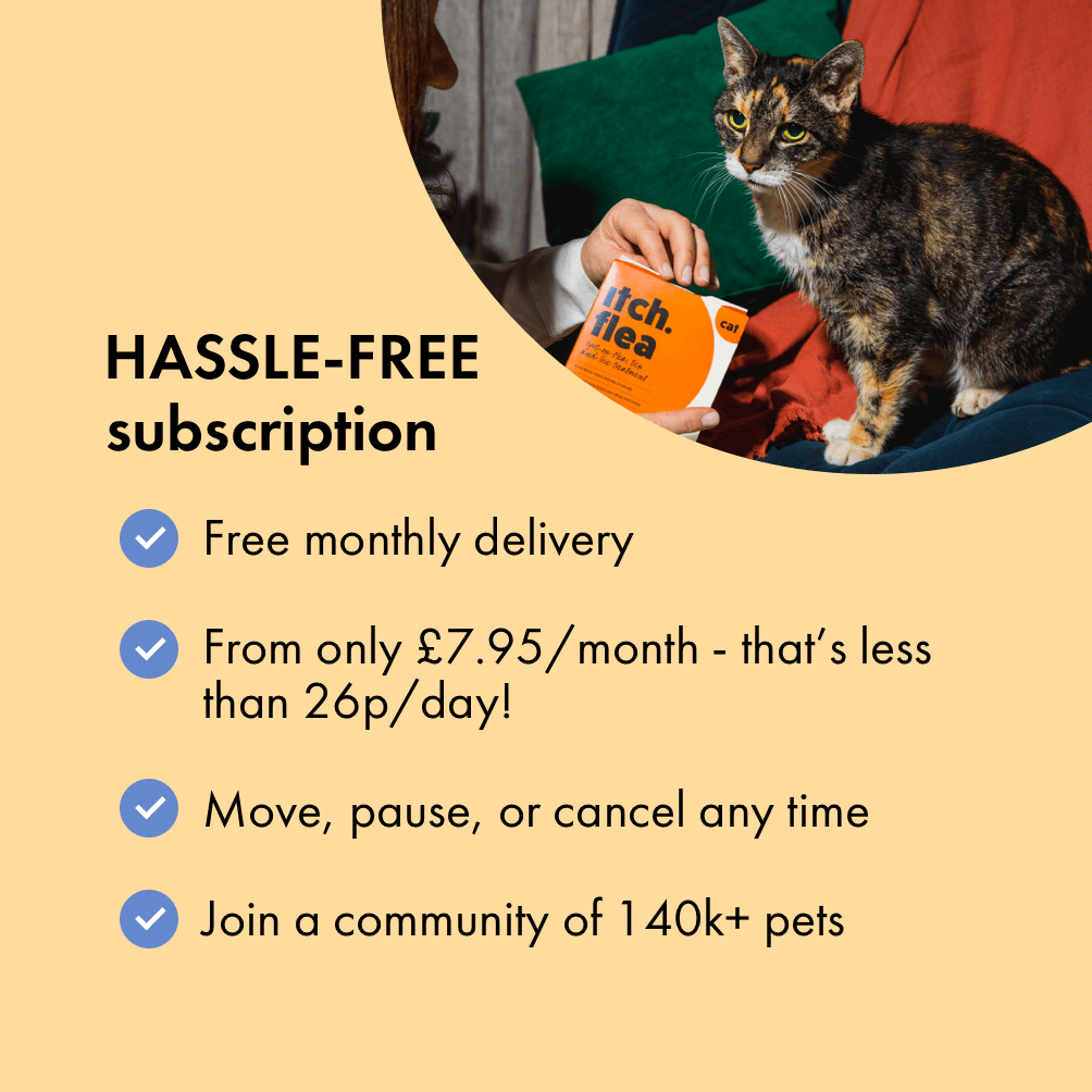 Flea Treatment for Cats Kills Fleas, Eggs and Ticks Itch