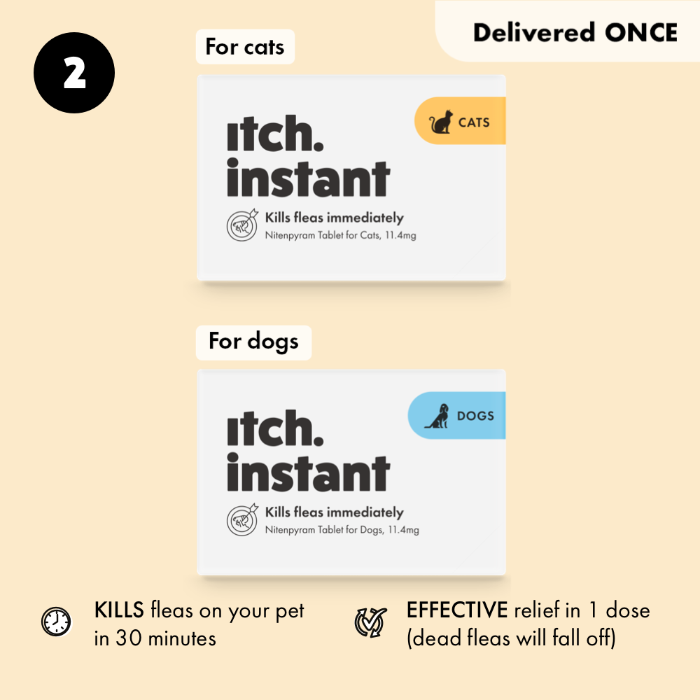 Itch Instant pack shots for cats and dogs which instantly kills and gets rid of fleas on pet in 30 mins.