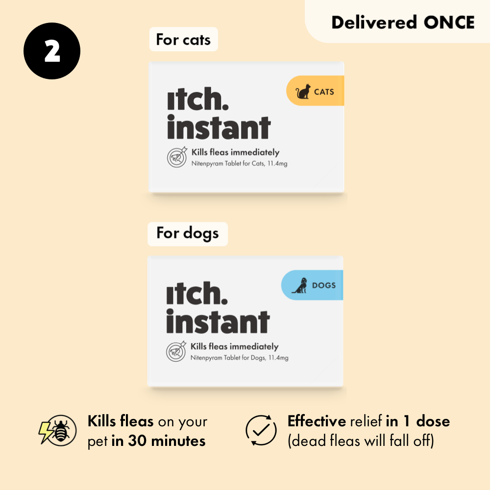 Itch Instant for cats and dogs