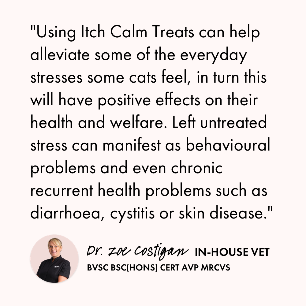 Itch Calming Treats for Cats, vet quote