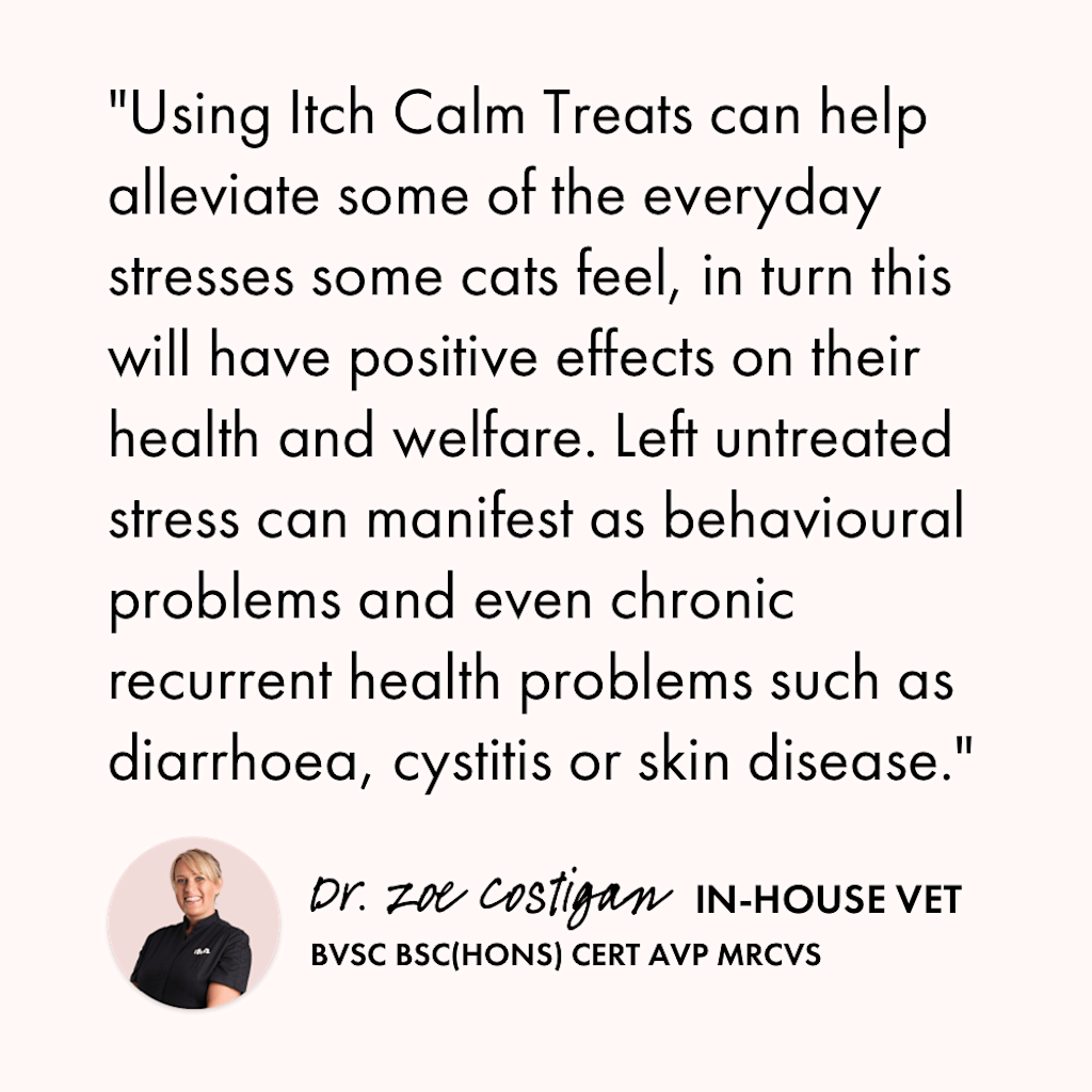 Calming Treats for Cats | Vet Approved | Itch