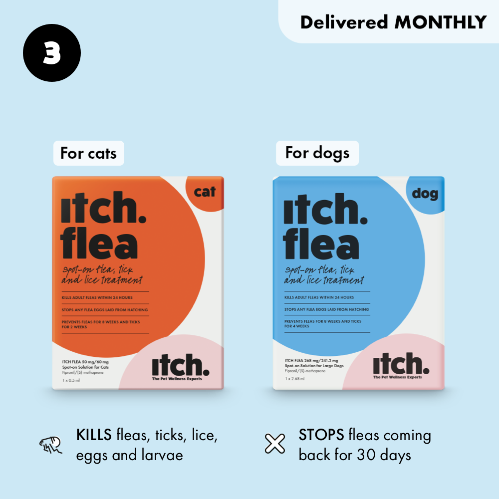 Itch Flea Spot On for cats and dogs pack shots which kills fleas on pet to stop fleas spreading in your house.