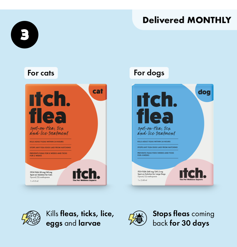 Itch Flea & Tick treatment for cats and dogs