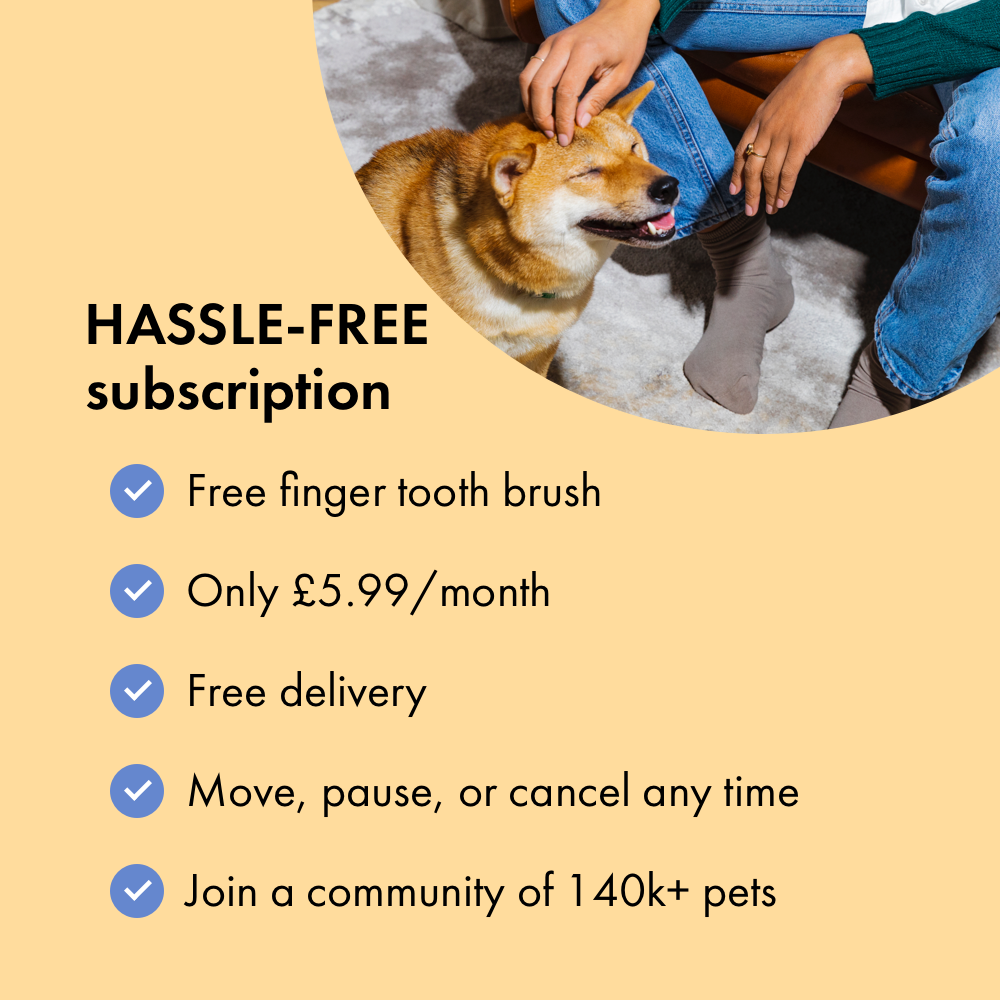 Itch Dental Toothpaste, Toothpaste for cats and dogs, packaging, subscription benefits