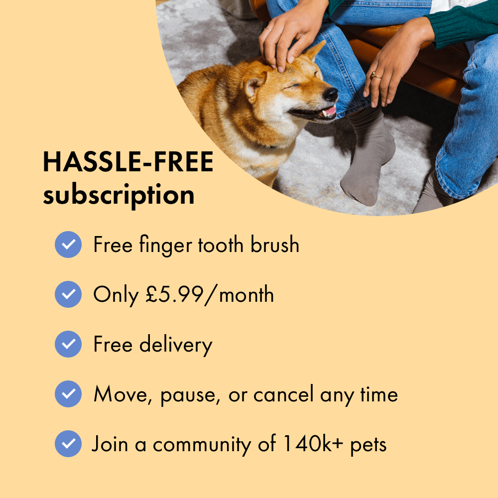 Toothpaste for Pet Cats Dogs Dental Paste Itch