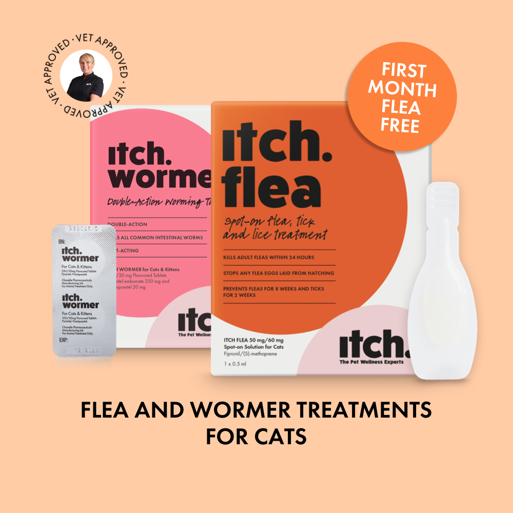 big w worming tablets