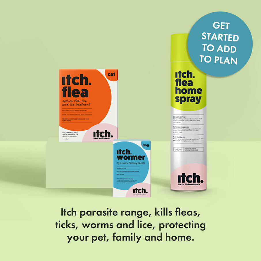 Flea & Wormer Treatment Subscription for Cats & Dogs Itch
