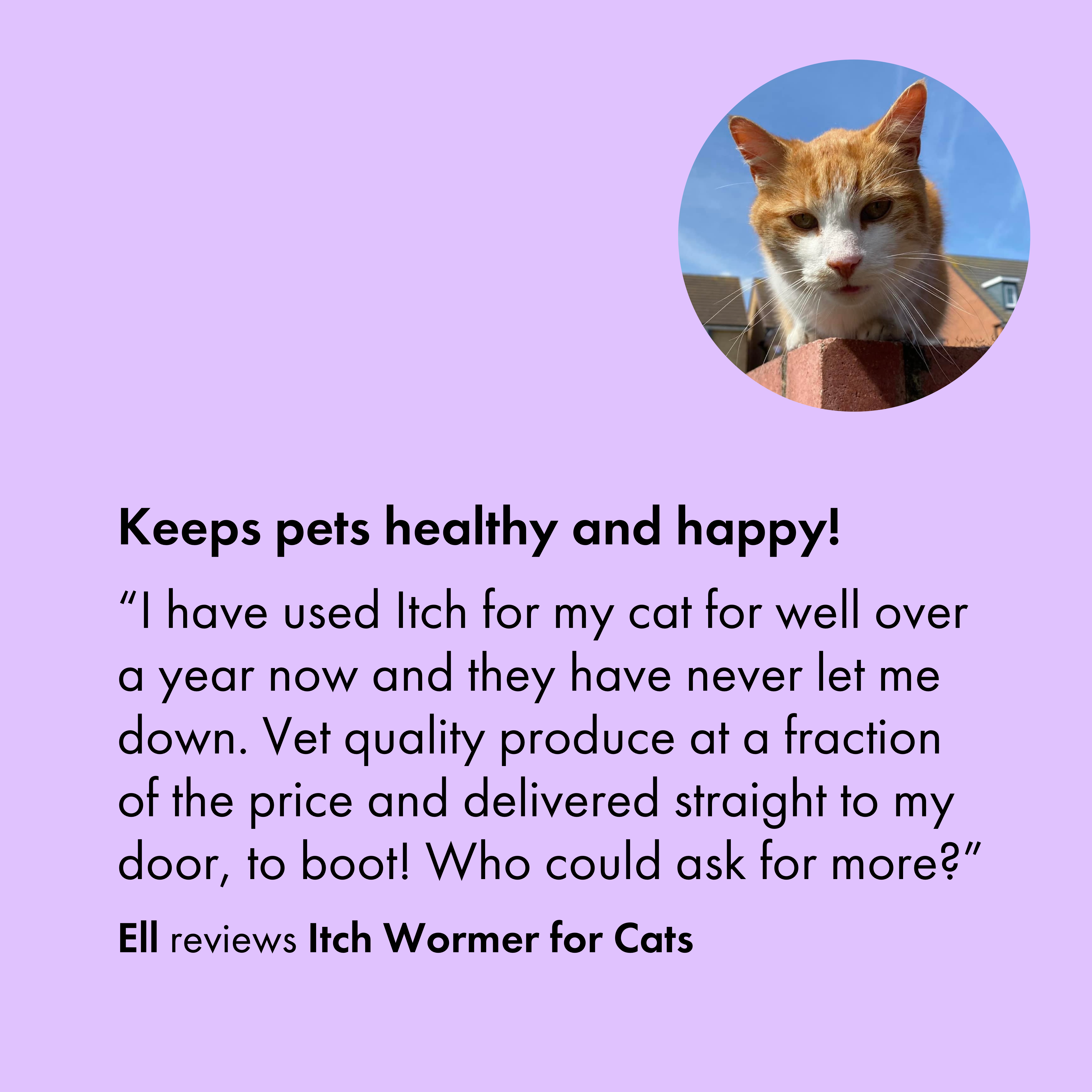 Customer gives Itch flea and worming treatment 5 star review