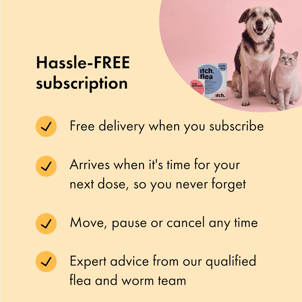 Free Flea Treatment for Dogs: Effective Remedies That Really Work