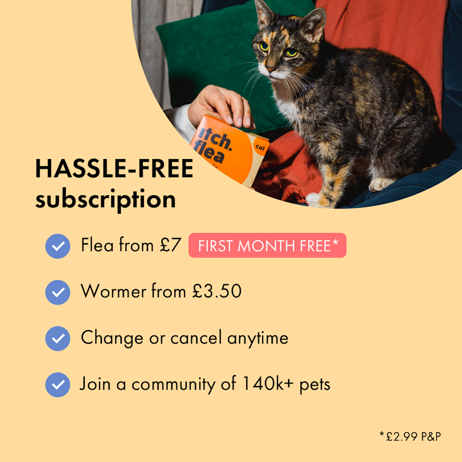 Flea & Wormer Treatment Subscription for Cats & Dogs Itch