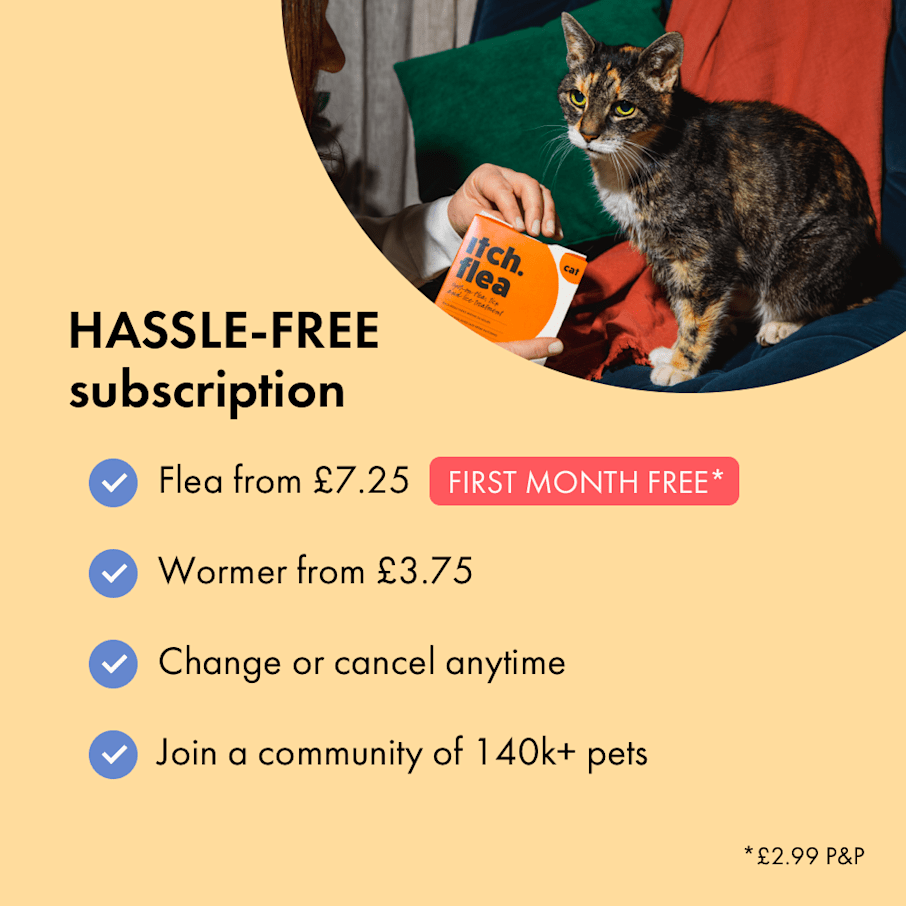 Cat scratching after flea medicine online