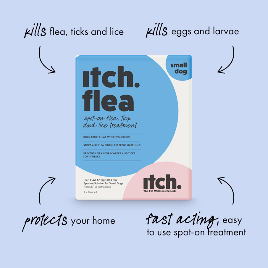 Flea & Wormer Treatment | Subscription for Cats & Dogs | Itch