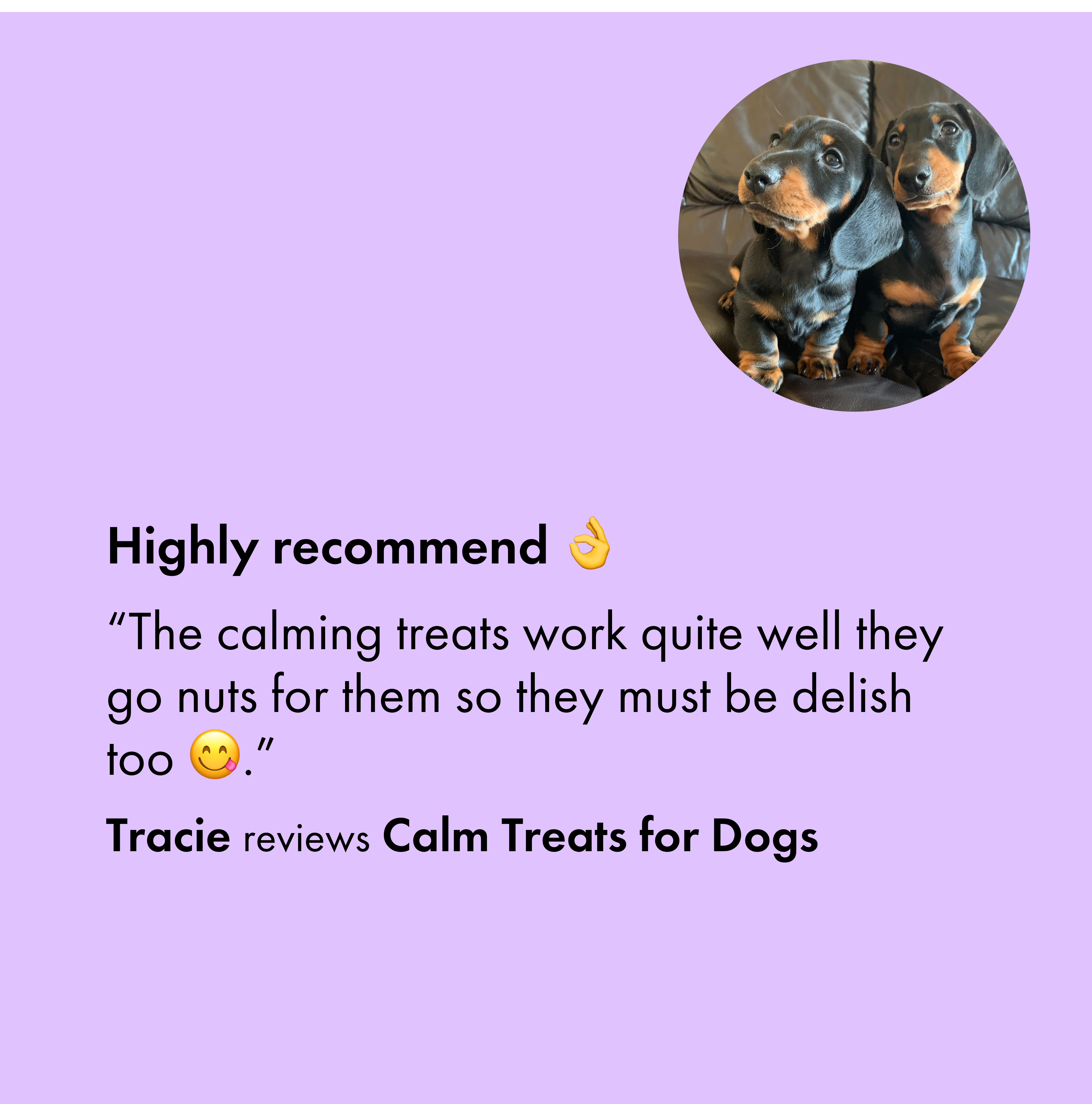 Itch Calming Treats for Dogs, image of dog with treats and customer review