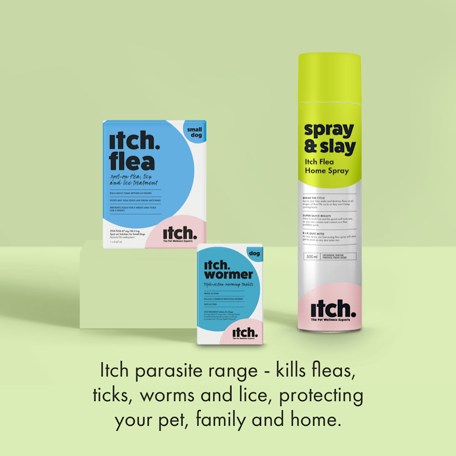 Flea Treatment for Dogs Kills Fleas Eggs and Ticks Itch