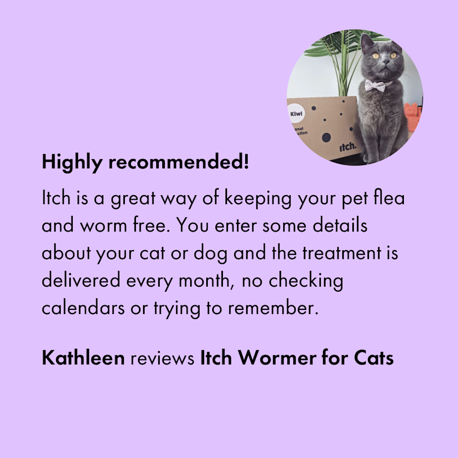 Flea & Wormer Treatment Subscription for Cats & Dogs Itch