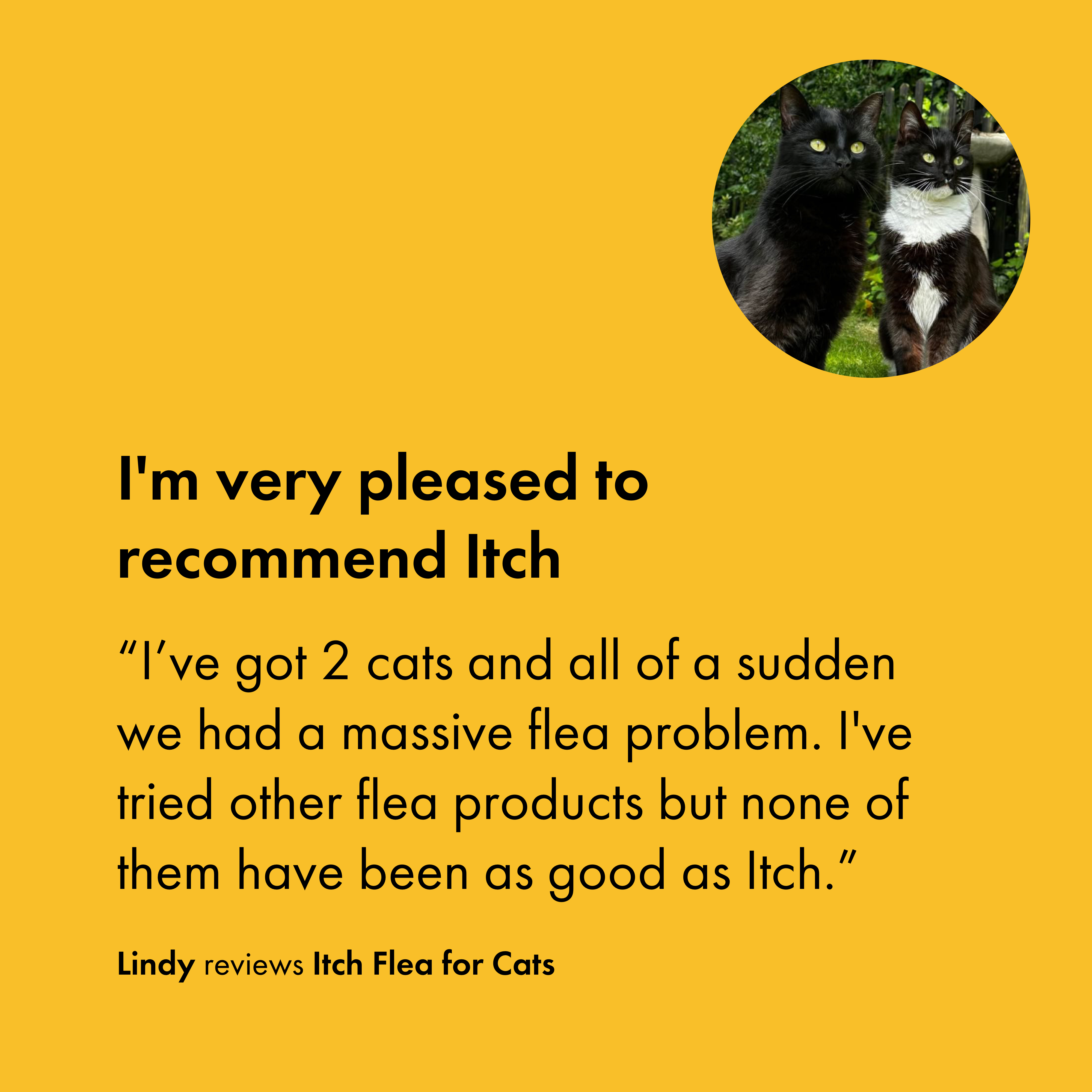 Customer review for Itch Flea for cats