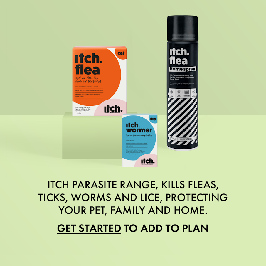 Flea & Wormer Treatment Subscription for Cats & Dogs Itch
