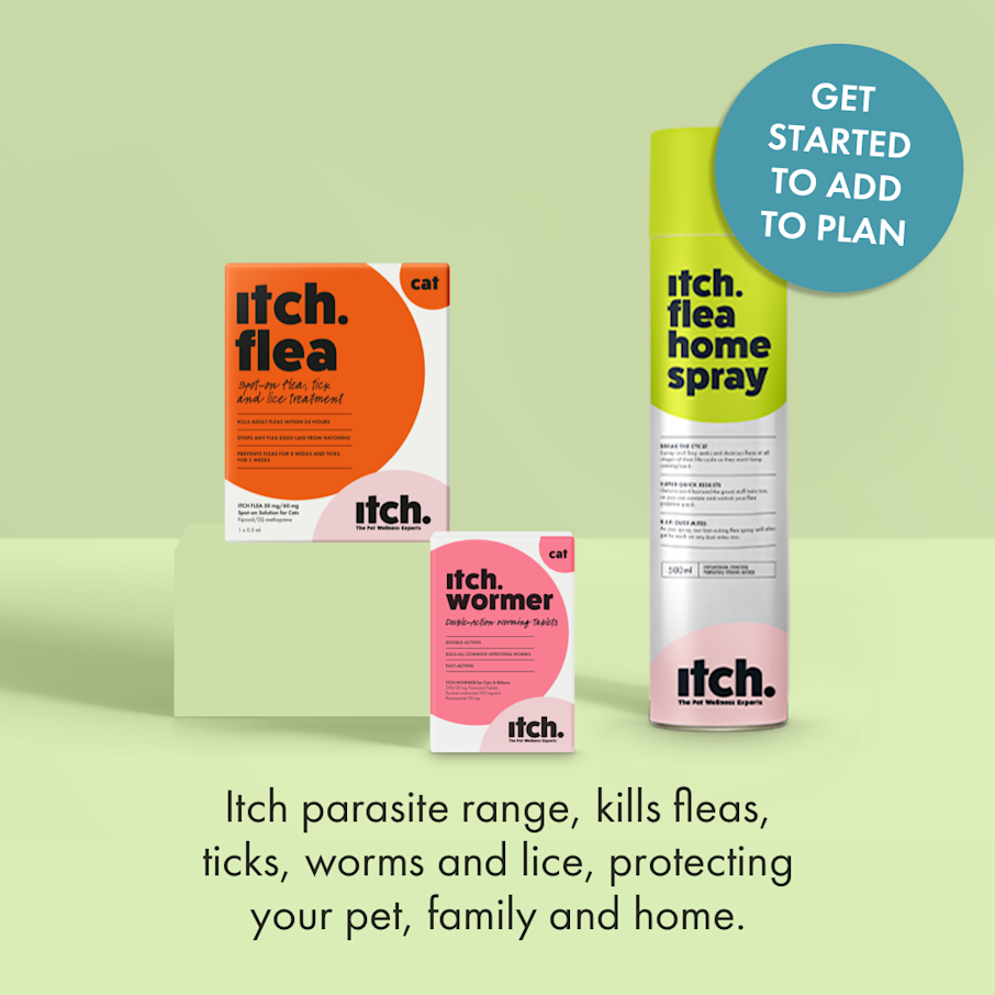 Flea Treatment | Flea Treatment Subscriptions for Cats | Itch