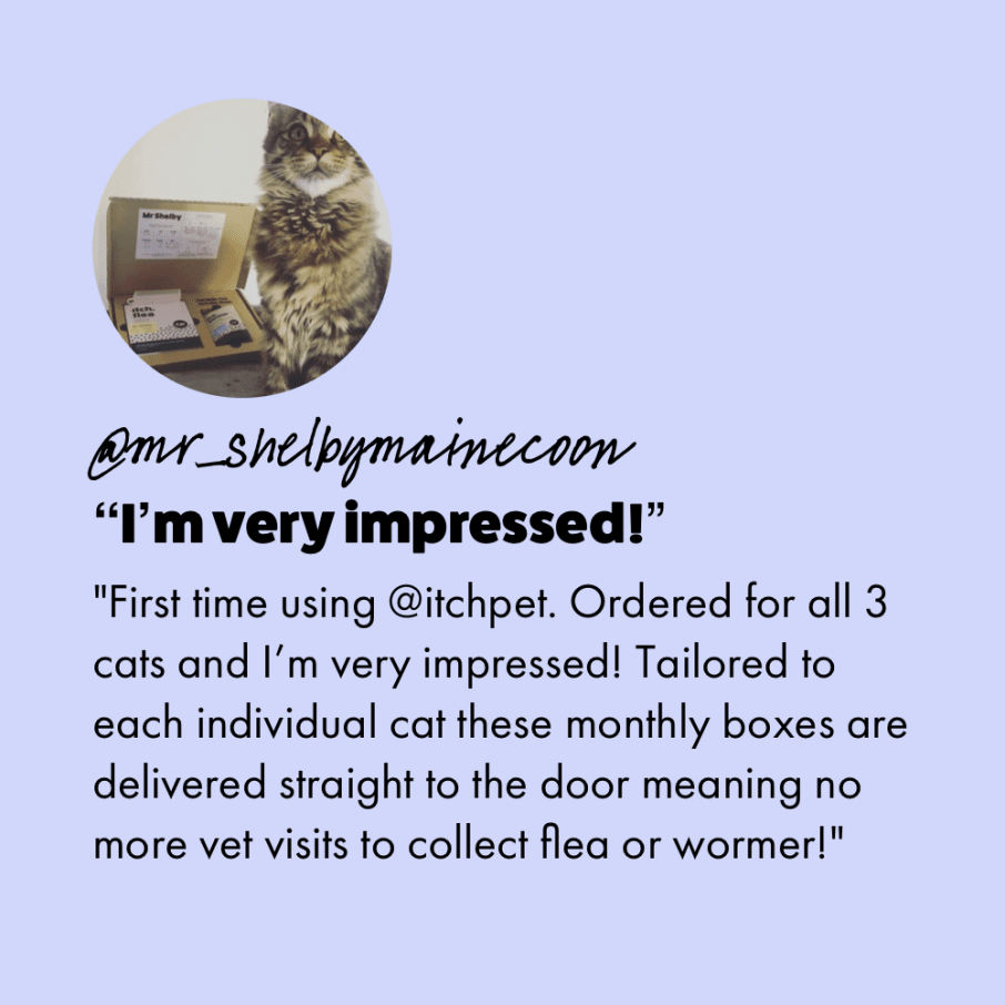Customer review of Itch Flea subscription. "I'm very impressed! First time using Itch Pet. Ordered for all 3 cats and I'm very impressed! Tailored to each individual cat these monthly boxes are delivered straight to the door meaning no more vet visits to collect flea or wormer!" @mr_shelbymainecoon